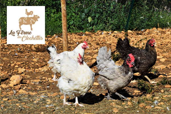 La Ferme des Clochettes