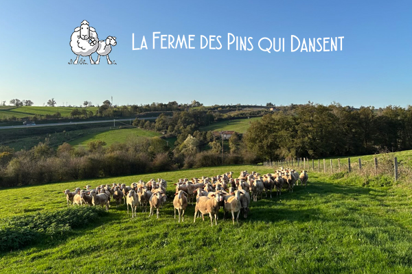 La Ferme des Pins qui dansent